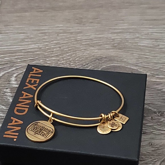 Alex and Ani Completely Blessed Charm Bracelet Positive Faith Gratitude - Picture 6 of 10